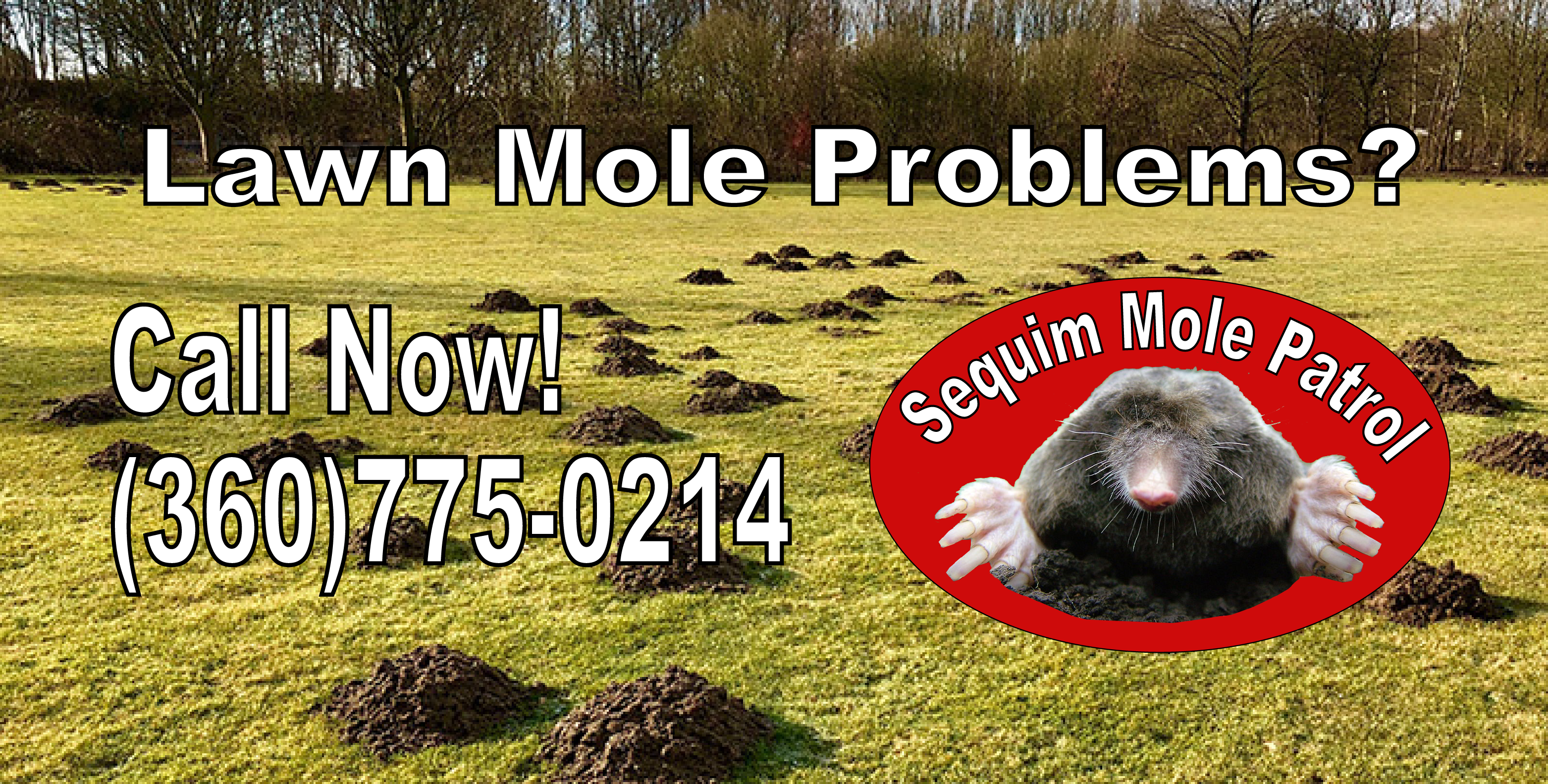 lawn-mole-removal in-sequim-wa